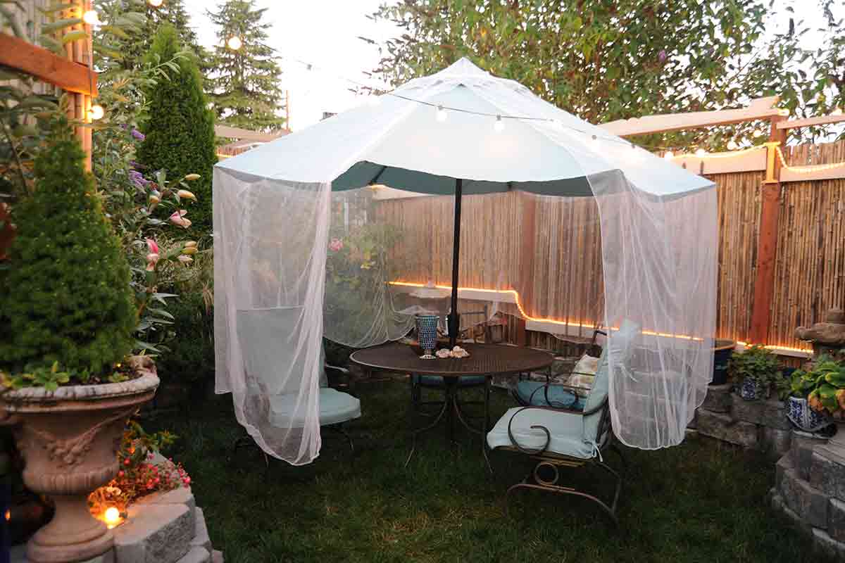 No Privacy Fence? 5 Ways to Create a Private Patio Best Pick Reports